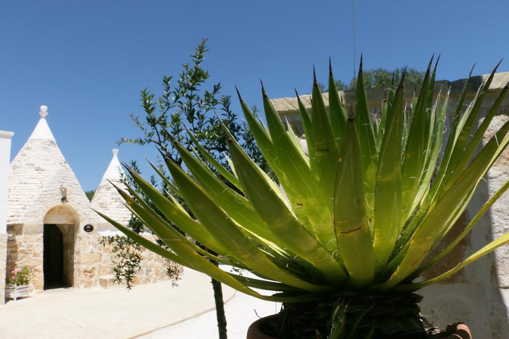 סן מיקלה סלנטינו Residence Spadalunga מראה חיצוני תמונה